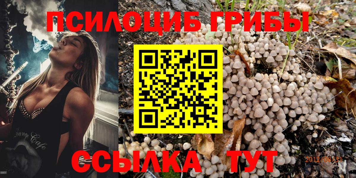 Королёв  где продают наркотики  Вход с VPN  Галлюциногенные грибы Magic Shrooms  Псилоцибиновые грибы GOLDEN TEACHER 