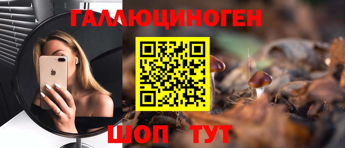 Галлюциногенные грибы Psilocybine cubensis Королёв